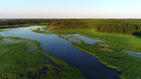 Imágenes-De-Drones-Del-Paisaje-De-Vegetación-Del-Archipiélago-Finlandés