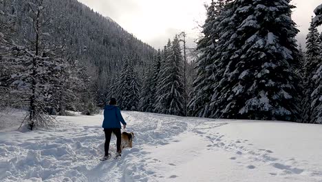 Mujer-Caminando-Con-Raquetas-De-Nieve-Con-Su-Golden-Retriever-En-Gold-Creek-Trail-Of-Snoqualmie-Pass