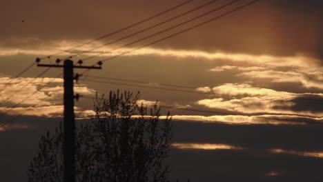 Beautiful-sunset-with-a-telephone-pole-and-lines-in-the-foreground,-static-wide-shot