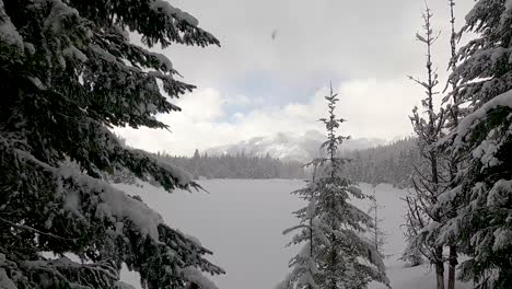 Static-wide-shot-between-snowy-green-conifer-trees-on-frozen-lake-and-mountain-range-in-background