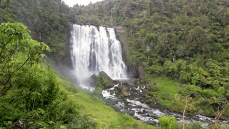 waterfall-in-the-middle-of-a-green-forest-in-New-Zealand-with-windy-leafs-no-people