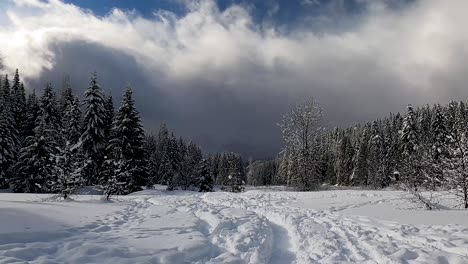 Footprints-Left-On-The-Snowy-Field-With-Pine-Tree-Forest-In-Snoqualmie-Pass