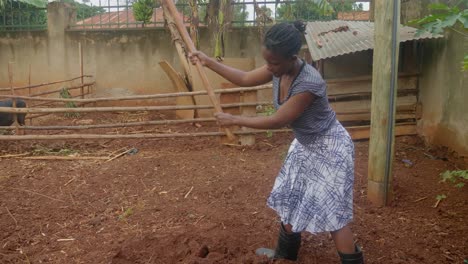 A-wide-shot-from-the-side-of-an-African-woman-digging-in-a-rural-farm-using-a-hoe-to-turn-up-the-soil