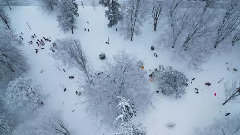 Gente-Paseando-En-Trineo-Sobre-La-Nieve-Durante-La-Temporada-De-Invierno-En-El-Parque-Wright-En-Tacoma,-Washington,-Estados-Unidos