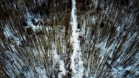 Aerial-birds-eye-view-dolly-roll-over-winter-snowed-in-path-with-a-dense-forest-with-bare-tree-tipped-in-the-sunset-golden-yellow-shone-and-gleamed-where-people-commonly-go-camping-all-year-round