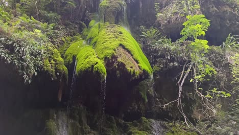 A-tilting-up-shot-of-a-mossy-waterfall-inside-a-canyon