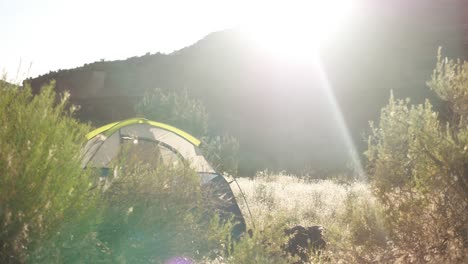 Camping-In-Der-Naturwildnis