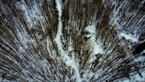 aerial-winter-birds-eye-view-twist-over-dense-forest-snow-covered-path-with-pockets-of-empty-campsites-afternoon-over-a-quiet-empty-camping-property-where-people-leisurely-side-by-side-atv-ride-3-4