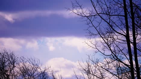 Schwarze,-Kahle-Bäume,-Weiße,-Flauschige-Wolken,-Die-Dunkle-Wolken-Im-Vordergrund-Bilden,-Und-Der-Atemberaubende-Blaue,-Klare-Himmel-Im-Hintergrund-An-Einem-Windigen-Dämmerungsnachmittag,-Wenn-Sich-Das-Wetter-ändert