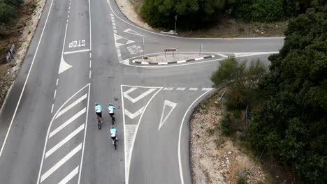 Birdseye-drone-footage-of-three-team-cyclists-riding-along-a-tarmac-road-through-the-Spanish-countryside,-with-large-trees-lining-the-road