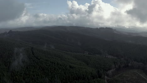 Vapor-De-Niebla-Y-Nubes-De-Tormenta-Sobre-El-Bosque-De-Abetos-De-Oregon