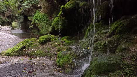 A-static-shot-at-the-bottom-of-a-mossy-waterfall-in-a-canyon