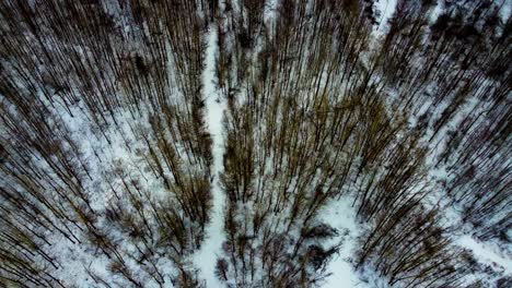 Antenne-Winter-Vogelperspektive-Dolly-Rollt-über-Dichten-Wald,-Schneebedeckten-Weg-Mit-Taschen-Leerer-Campingplätze-über-Einem-Ruhigen,-Leeren-Kronland-Campingplatz,-Wo-Menschen-Gemächlich-Seite-An-Seite-ATV-Fahren-4-4
