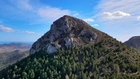 Drone-footage-of-tree-covered-hillside-in-Calpe,-Spain,-with-mountainous-region-and-wide-landscape-in-the-background,-taken-on-a-bright-blue-sunny-day-with-white-fluffy-clouds