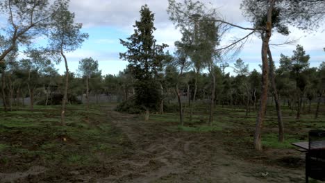 Umgestürzte-Bäume-In-Madrids-Größtem-Park-Casa-De-Campo-Nach-Filomena-Schneeblizzard-Im-Januar-2021-Mit-500.000-Betroffenen-Bäumen