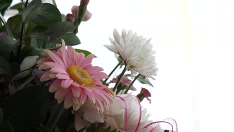 Close-Up-on-China-Aster-Flower-in-Bright-Bouquet,-Pink-Petals-with-Yellow-Center