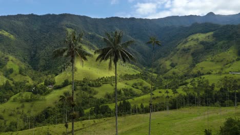 Aerial-Panning-Shot-Reveals-Beautiful-Cocora-Valley-in-Quindio,-Colombia