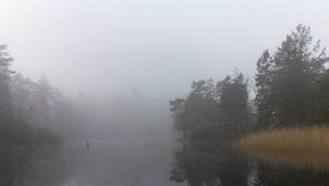 Time-lapse-of-eerie-mist-moving-over-river-surrounded-by-forest---slow-zoom-out
