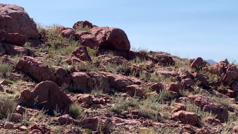 Eroded-reddish-granite-stones-on-rocky-mountain-slope,-Royal-Gorge,-Colorado