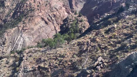 Scenic-landscape-of-Royal-Gorge,-Colorado-United-States-of-America