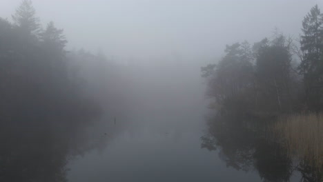 Dolly-In-Einem-Wunderschönen-Nebelbedeckten-See,-Umgeben-Von-Wald