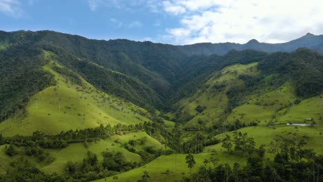 Beautiful-Aerial-Reveal-of-Cocora-Valley-on-Clear-Day