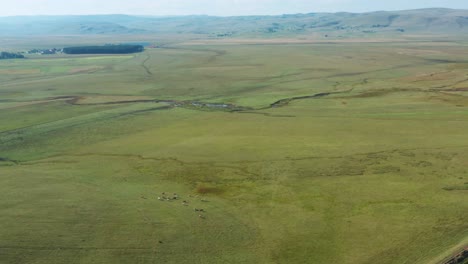 Breathtaking-aerial-landscape-with-green-pasture,-herd-of-cows,-and-swamp-with-distant-mountains