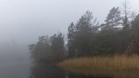 Zeitraffer-Des-Nebels,-Der-Sich-Mit-Schilf-In-Der-Nähe-Der-Uferlinie-über-Den-Fluss-Bewegt