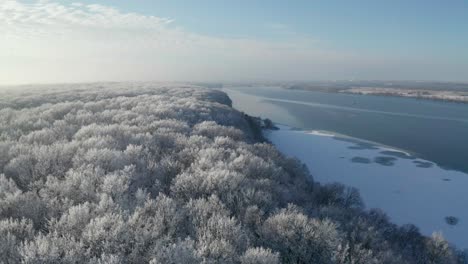 Flying-low-over-frosty-treetops-revealing-wast-icy-river-and-horizon