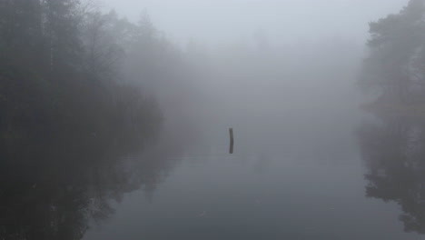 Dolly-Aus-Holzstumpf,-Der-Aus-Einem-Nebelbedeckten-Fluss-Herausragt