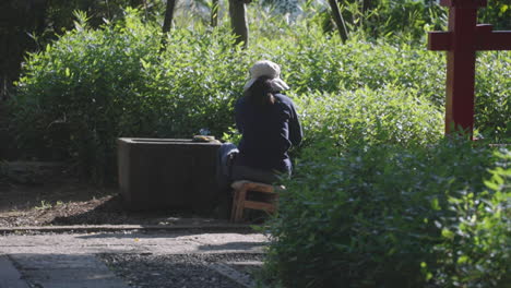 Botanist-Sitting-On-Stool-Tending-Plants-On-A-Sunny-Spring-Day-In-Tokyo,-Japan