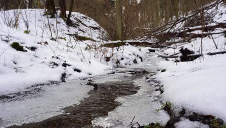 flowing-creek-with-icy-shores-in-a-snowy-wood-in-winter,-truck-left