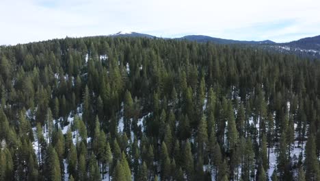 Drone-flying-up-and-over-snow-covered-hills-and-trees-to-reveal-a-snow-covered-mountain-peak-in-the-distance-beyond