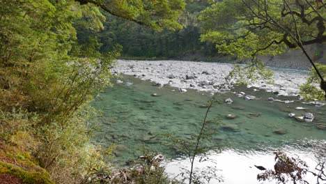 Schwenken-Sie-Niedriges-Wasser,-Klaren-Grünen-Fluss-In-Der-Neuseeländischen-Regenwaldszene