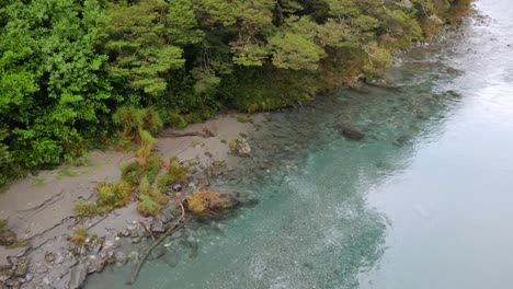 Das-Sandige-Flussufer-Weicht-Einem-üppigen,-Feuchtgrünen-Neuseeländischen-Regenwald