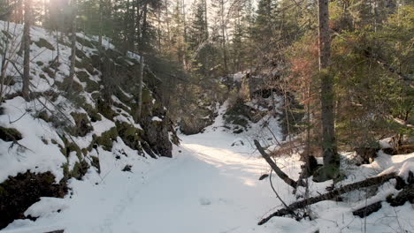Felsiger,-Schneebedeckter,-Gefrorener-Bach-Durch-Den-Winterwald