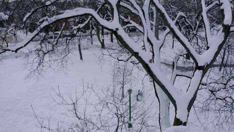 Drone-flying-over-a-snow-covered-tree-revealing-Montreal-in-winter