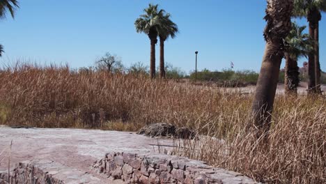 A-small-stone-bridge-leads-to-an-island-surrounded-by-reeds-and-palm-trees,-Papago-Park,-Phoenix,-Arizona