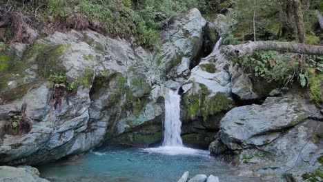 Man-leaps-from-NZ-rainforest-into-ice-cold,-clear-water-in-canyon-pool
