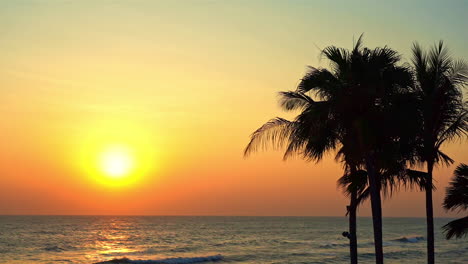 Evocative-setting-golden-sun-over-sea-with-palm-tree-silhouette