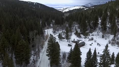 Luftaufnahme---Ein-Haus-Liegt-Im-Wald-Von-Montana