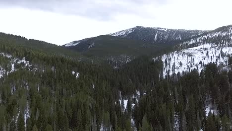 AERIAL---Camera-dolly's-back-over-Montana's-forest