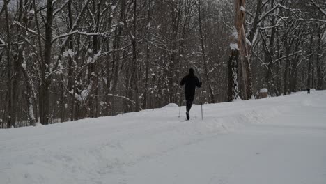 Langläufer,-Der-In-Einem-Winterpark-In-Montreal-Wegzieht