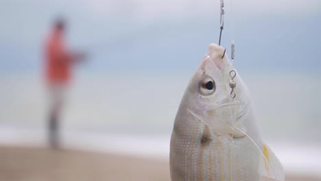 Fish-Hangs-From-Hook-of-Fishing-Rod-on-Beach-Coastline