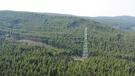 Electricity-metal-pole-standing-amidst-large-cut-in-vast-green-forest---Aerial-fly-towards-descending-shot