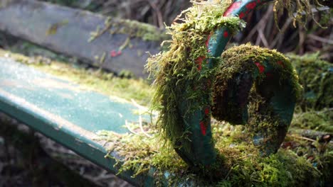 Mossy-overgrown-weathered-green-curled-wrought-iron-wooden-bench-forgotten-in-woodland-forest-dolly-left-closeup