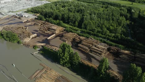 Drone-view-of-deforestation-in-North-America