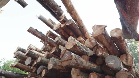 Cinematic-shot-of-stacked-lumber-at-a-large-industrial-logging-site
