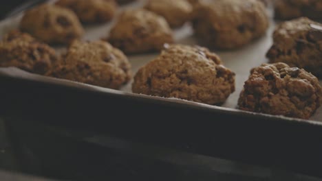 Close-Up-Of-Baked-Cookies-In-A-Baking-Pan