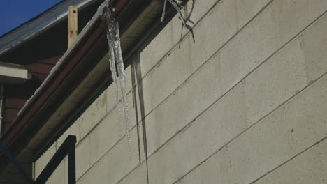 Long-And-Sharp-Icicles-Hanging-From-The-House-Gutter-With-Shadow-Reflected-On-Wall-During-Sunny-Day